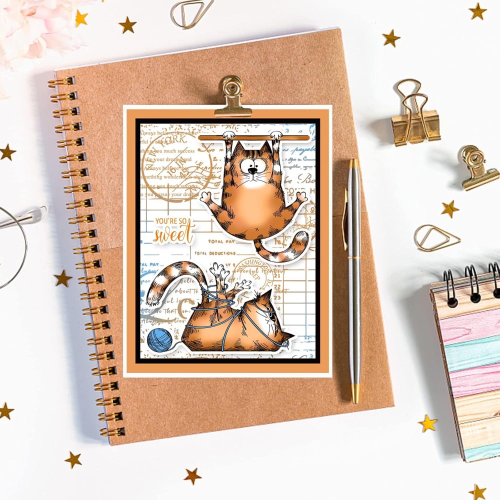 Timbri trasparenti per gatti d - Clear Silicone Stamps For Card Making recensione e prezzo
